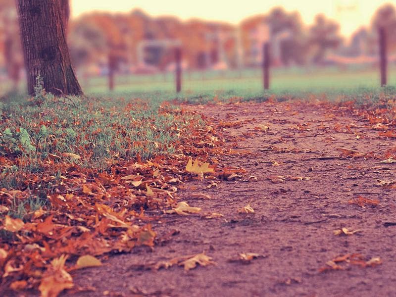 How to Introduce Sex Toys Into Your Relationship